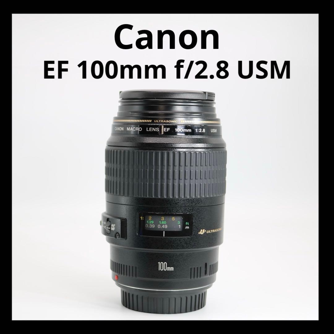 訳アリ 【Canon EF 100mm f/2.8 USM 】 マクロレンズ
