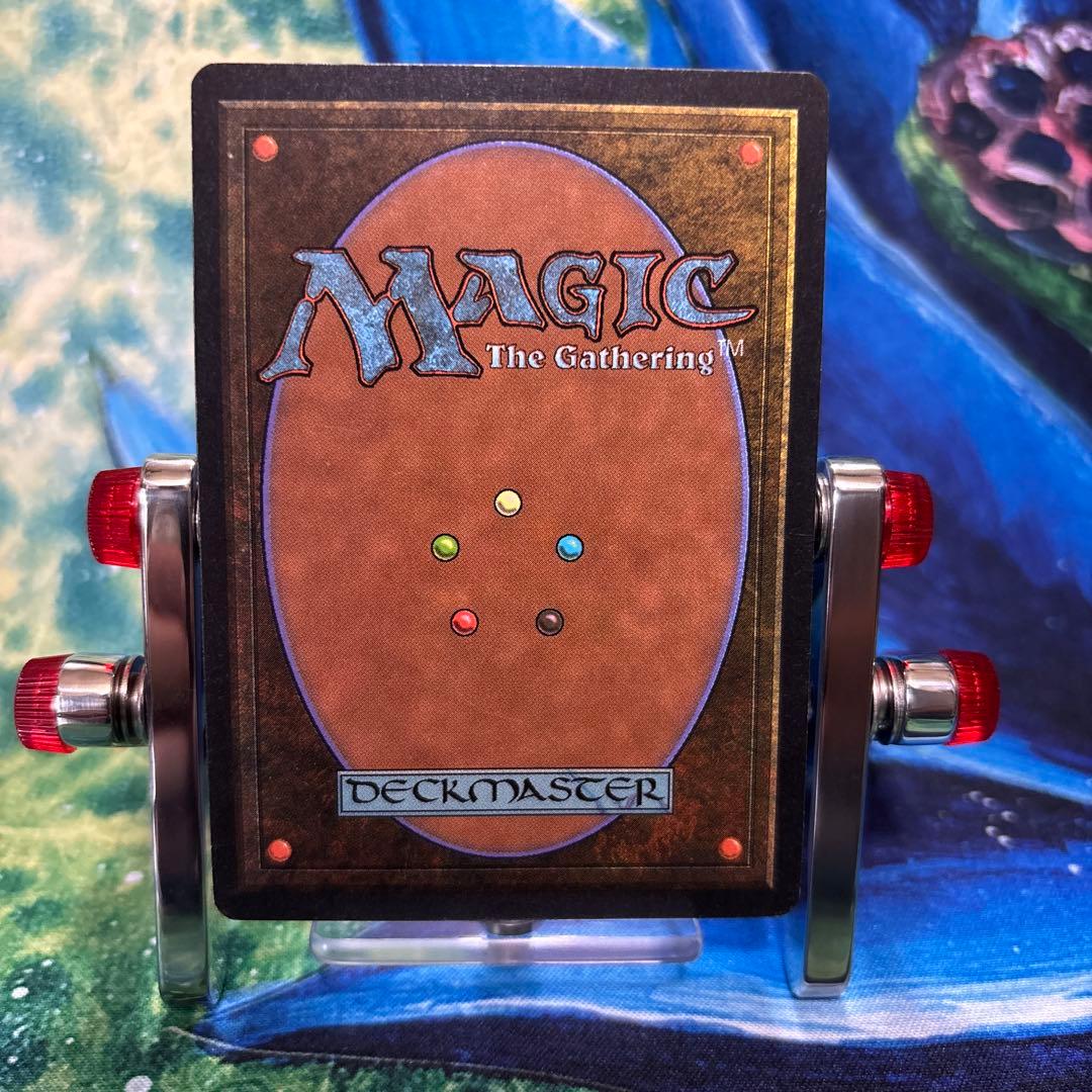 (5枚)沼　C MTG LEB ベータ　β [LEB] 基本土地