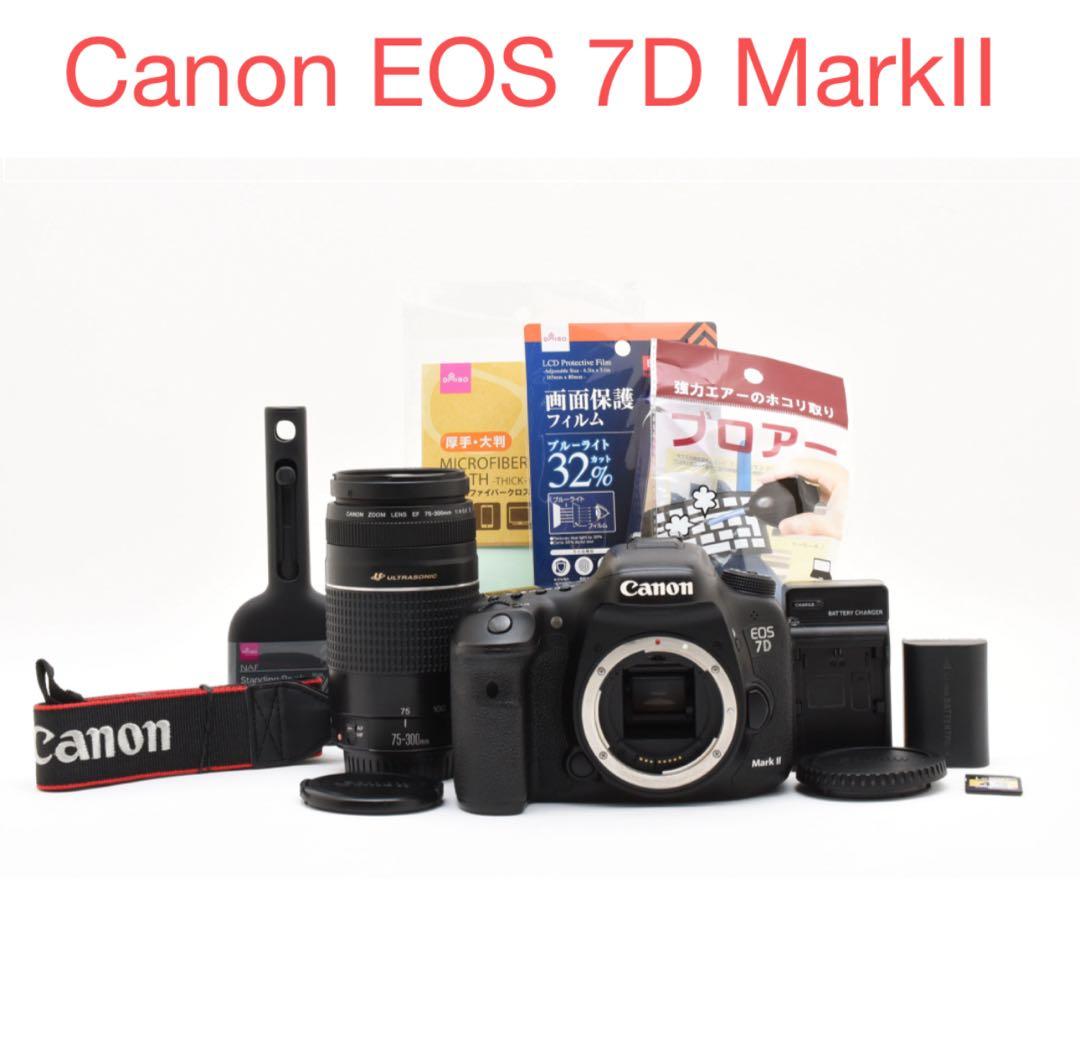 Canon EOS 7D MarkⅡ 望遠レンズセット/Canon 75-300