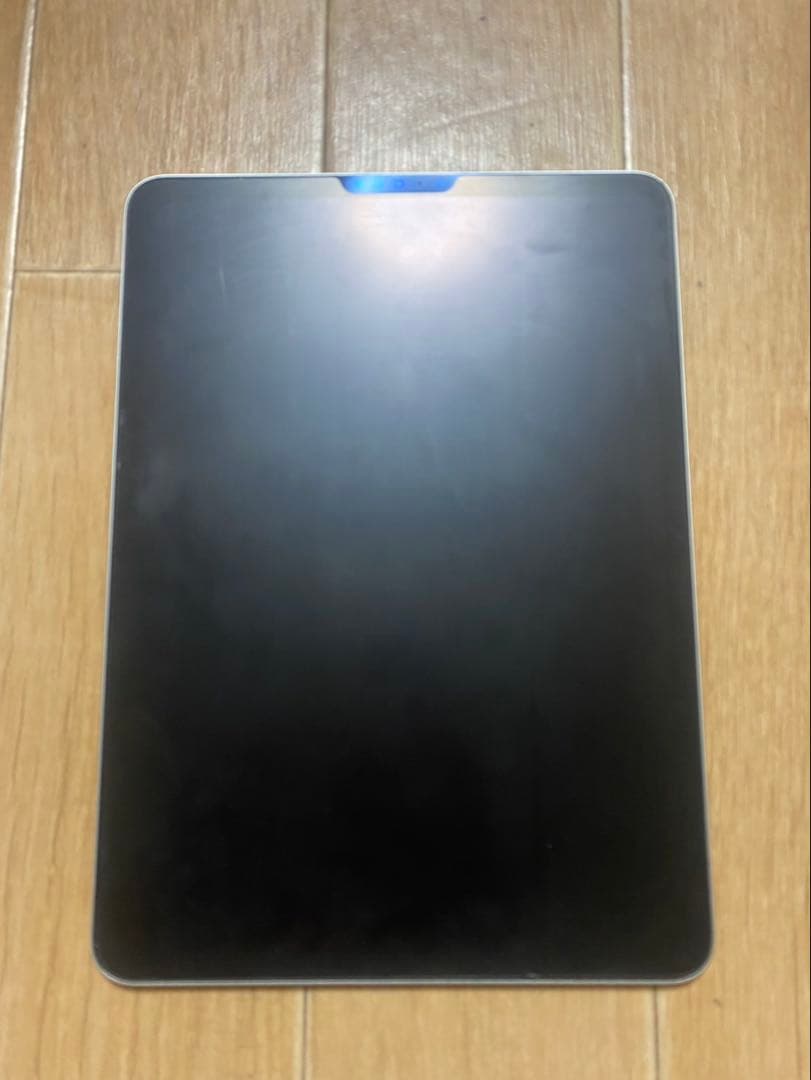 Apple iPad Pro 2022 シルバー 新品純正充電器付き