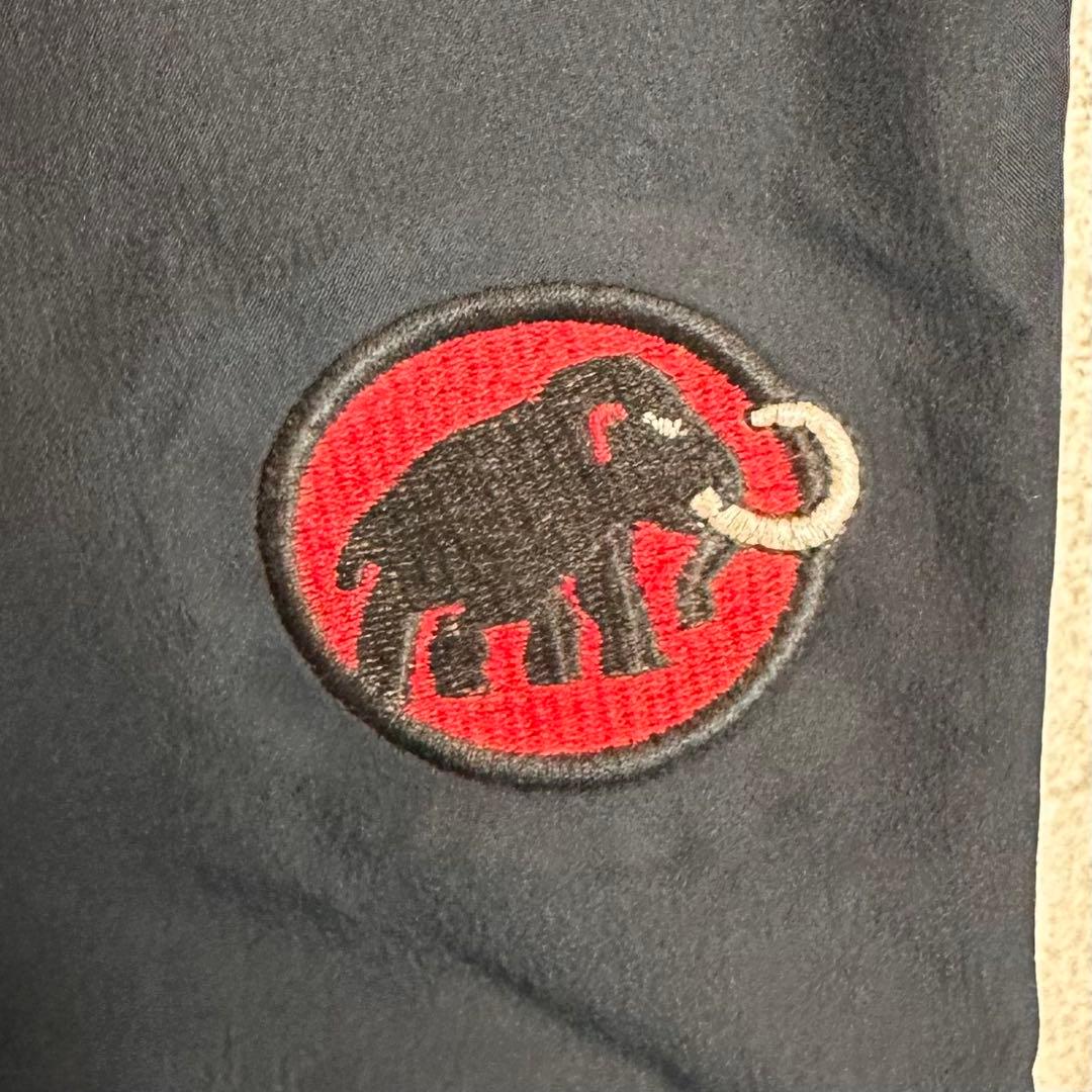 【GORE-TEXプロ】MAMMUT マムート クライメート レインパンツ