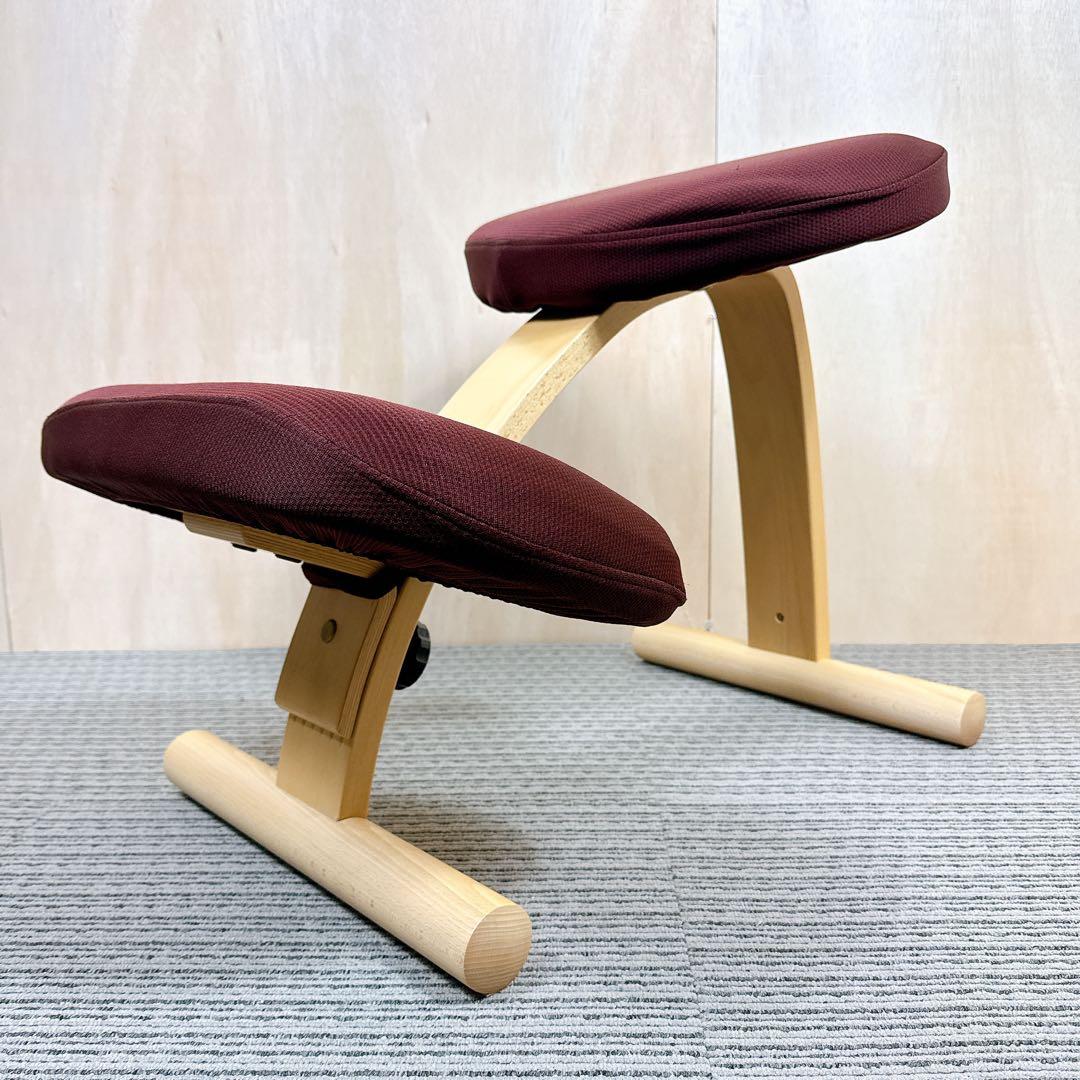 美品 バランスイージー ブラウン 撥水カバー付き サカモトハウス