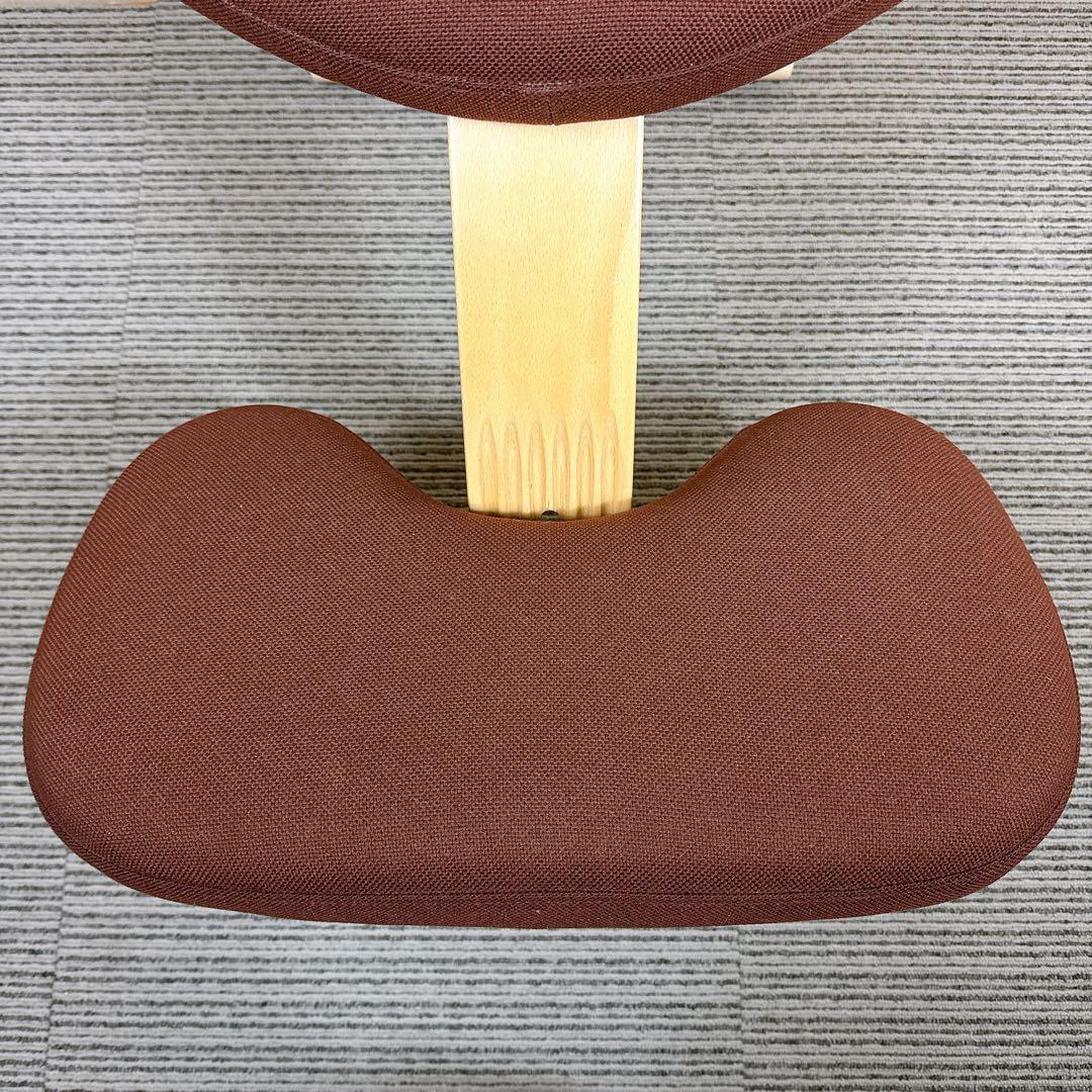 美品 バランスイージー ブラウン 撥水カバー付き サカモトハウス