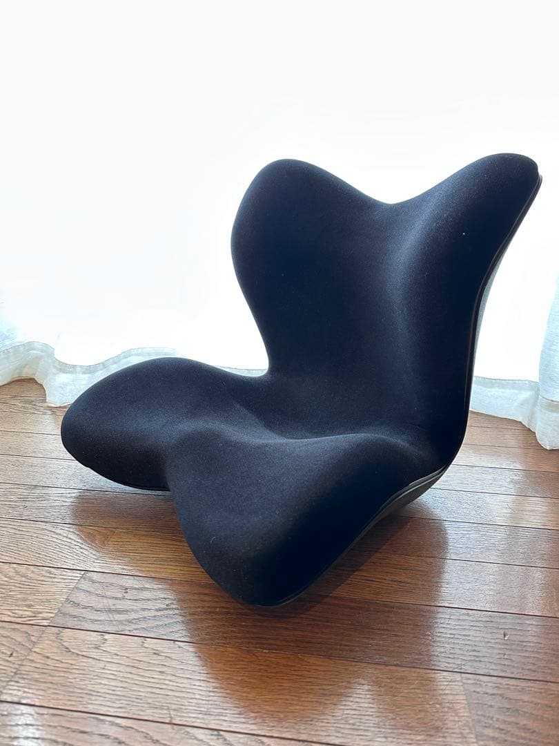 極美品Style PREMIUM DX 最上位モデル骨盤・姿勢矯正クッション