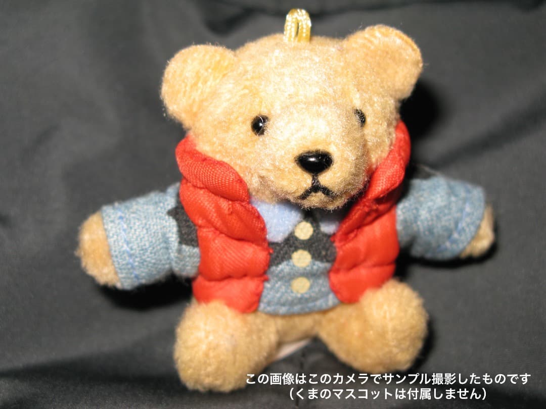 【CCD素子】Canon G9 デジタルカメラ 本体とバッテリーチャージャー付き