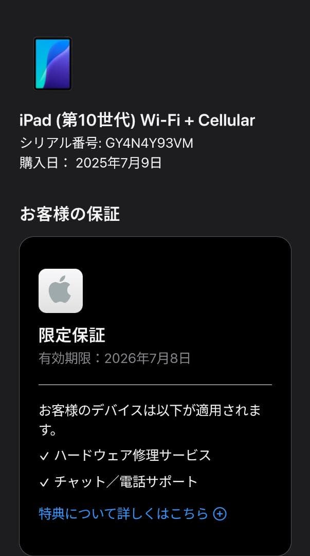 iPad 第10世代 256gb WiFi cellular シルバー