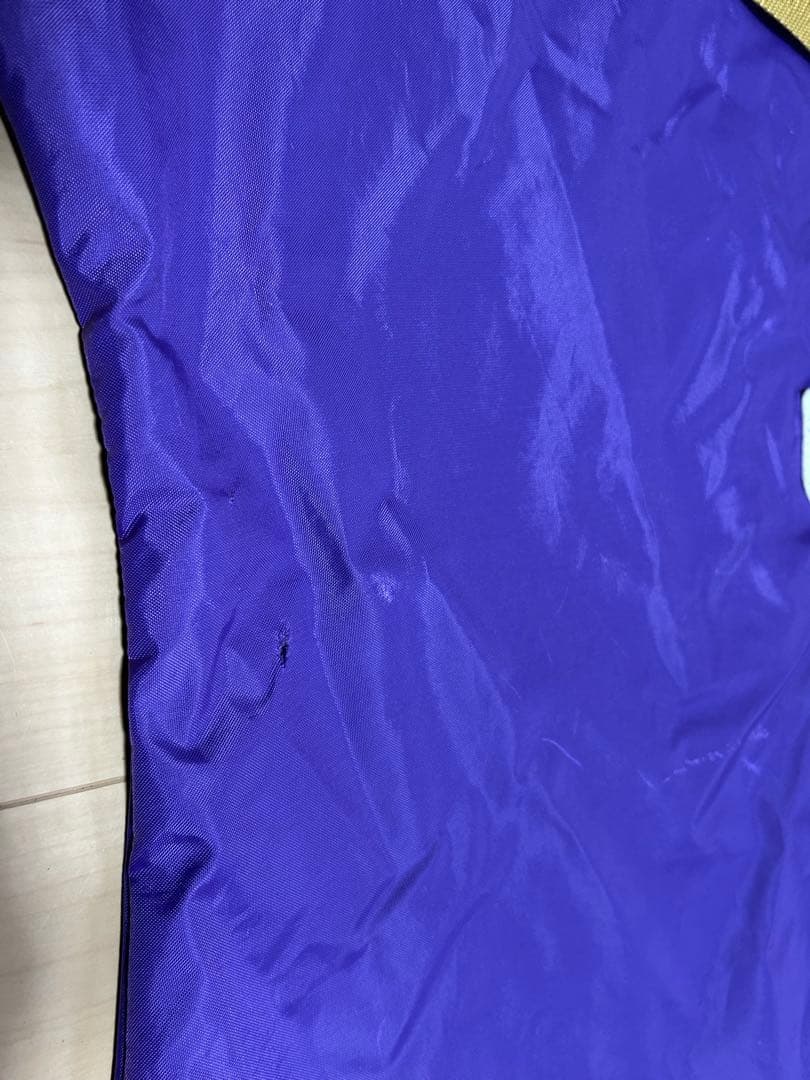 【キャリーケース付】STRIDER PRO 軽量！シルバー