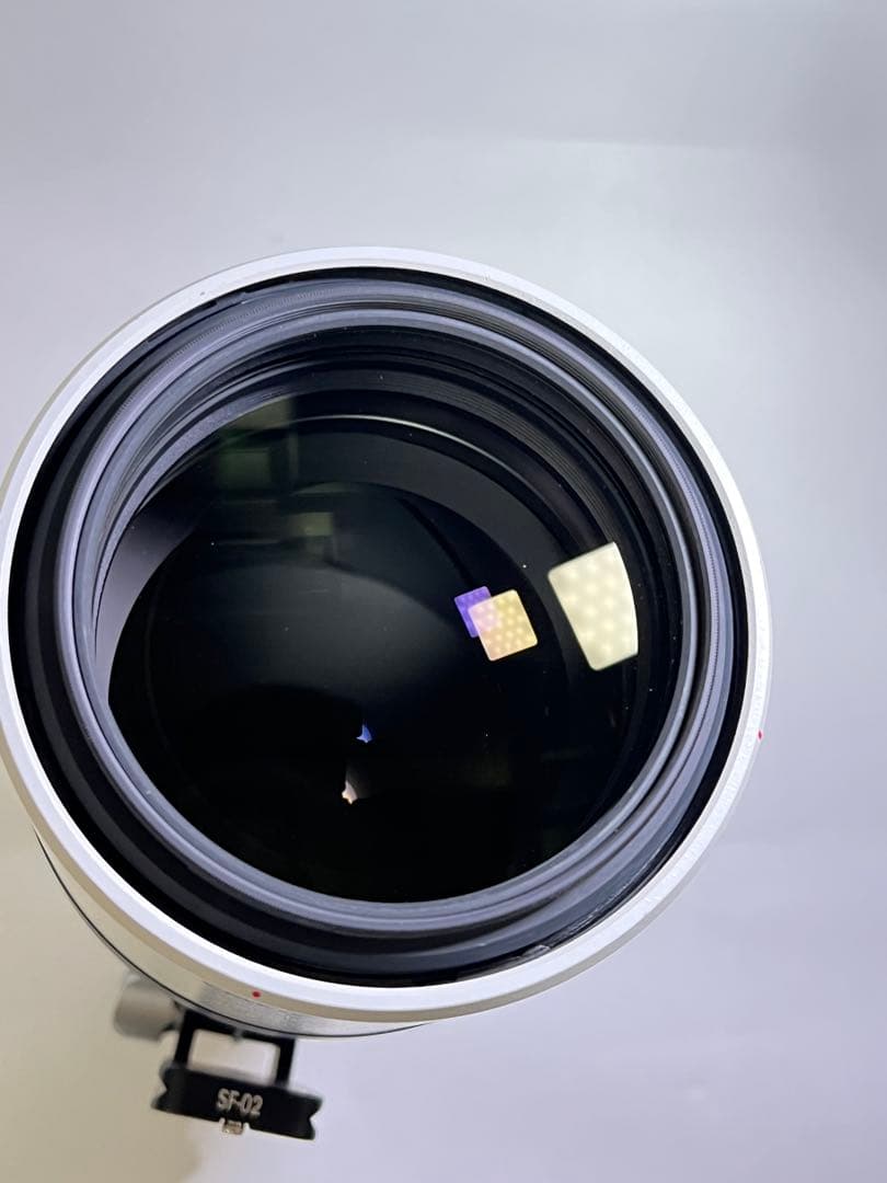 SONY FE 200-600mm F5.6-6.3 G OSSレンズフット付き