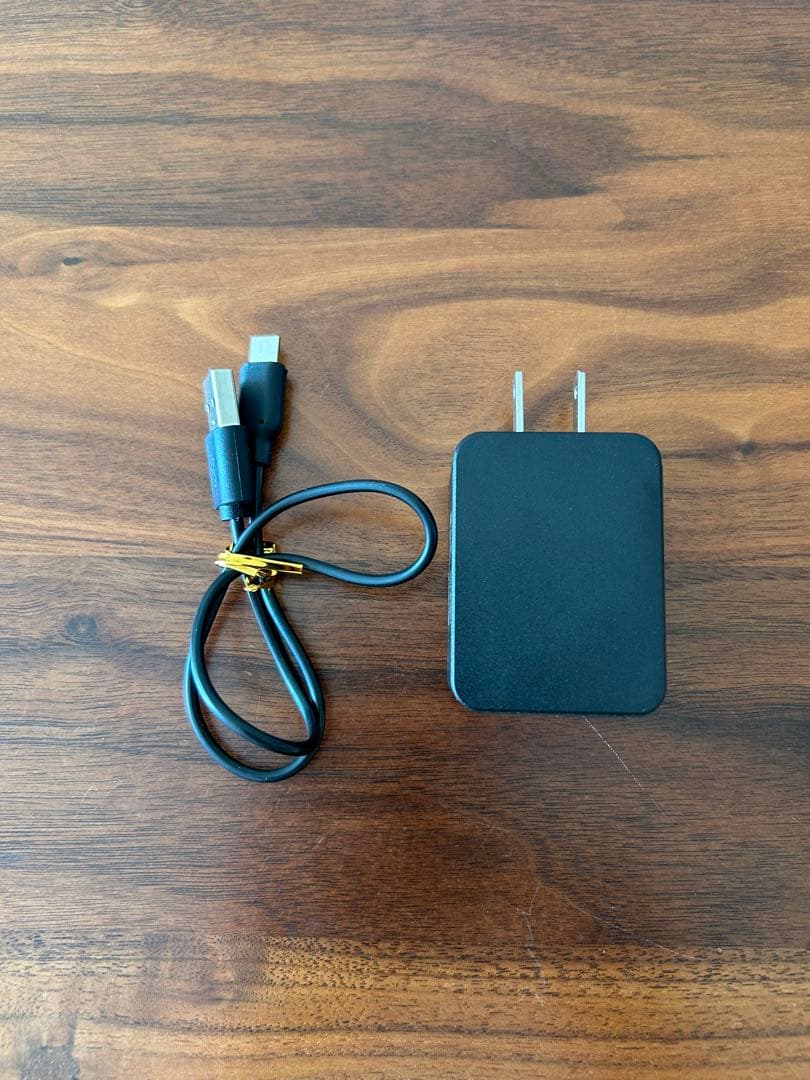 SII MP-B20 プリンター本体