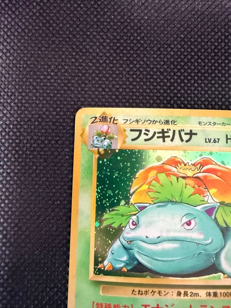 2枚セット 旧裏 カメックス フシギバナ ポケモンカード 初期