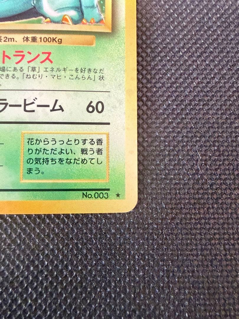 2枚セット 旧裏 カメックス フシギバナ ポケモンカード 初期