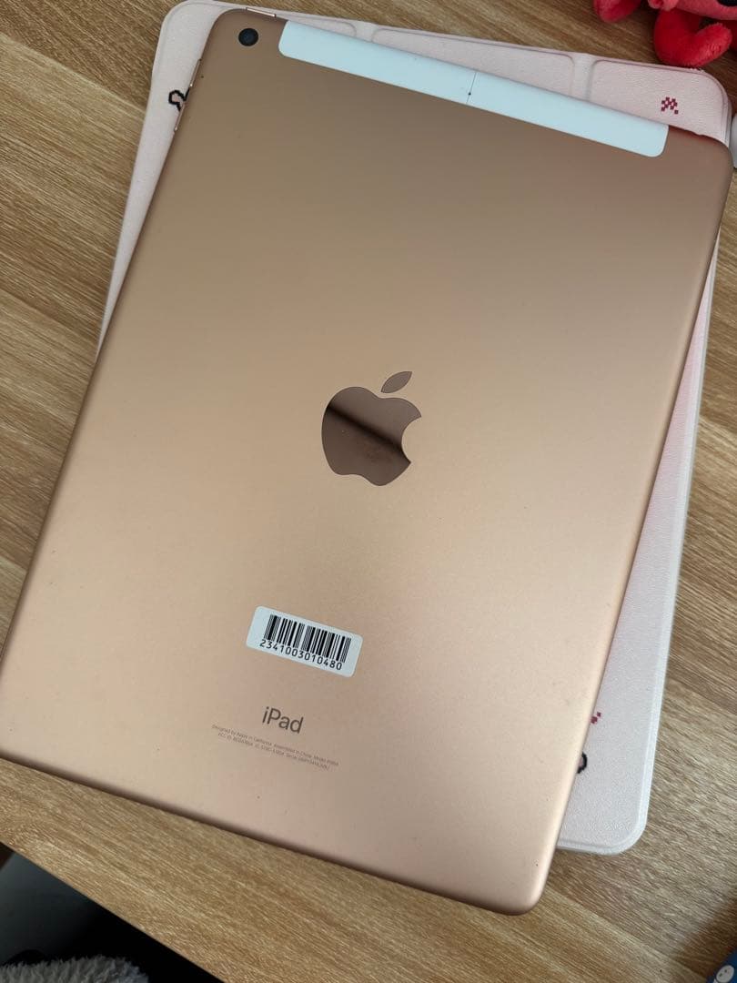 iPad本体 iPad (6th Generation) WiFi+Cellular Pink