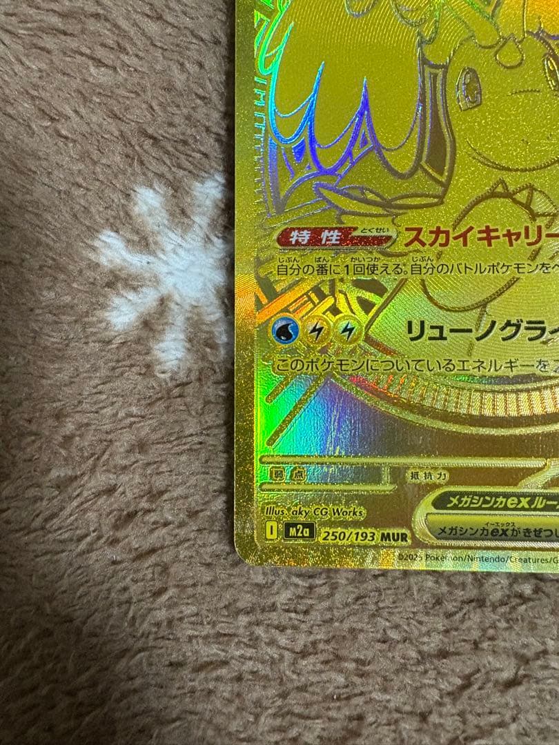 メガカイリューEX 370HP トレーディングカード