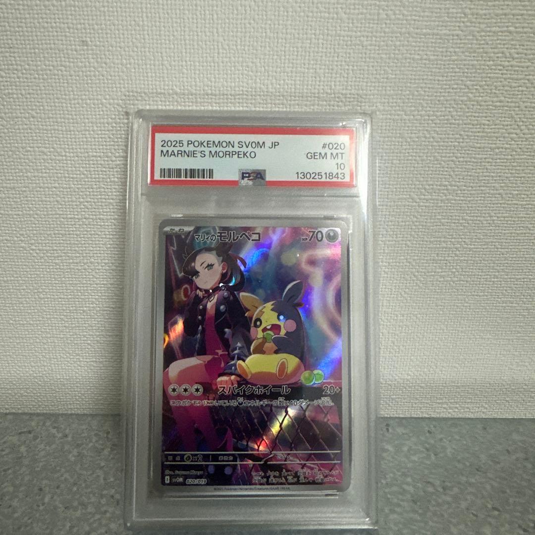 マリィのモルペコpsa10