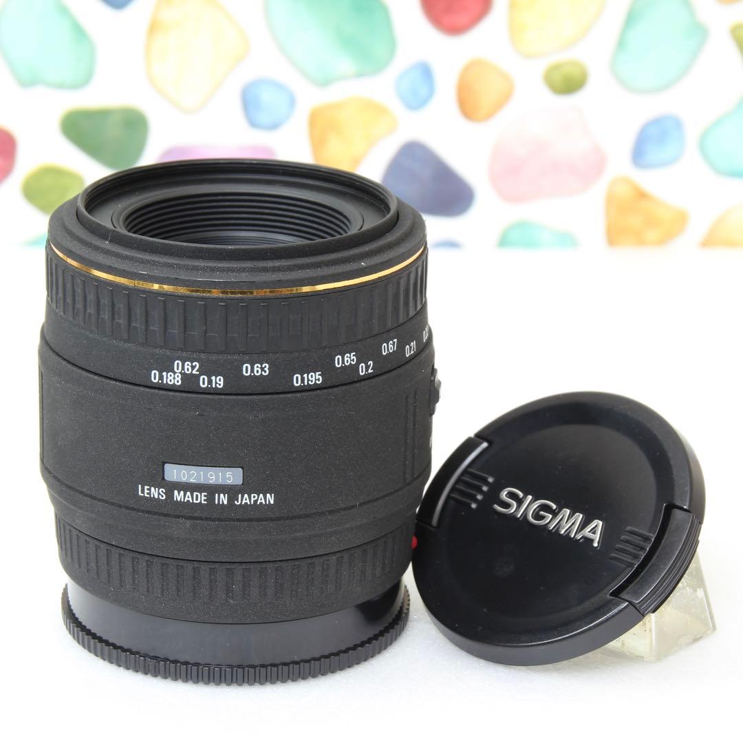 ♥︎◇広角単焦点レンズ ◇SIGMA 50mm F2.8 ◇ソニー