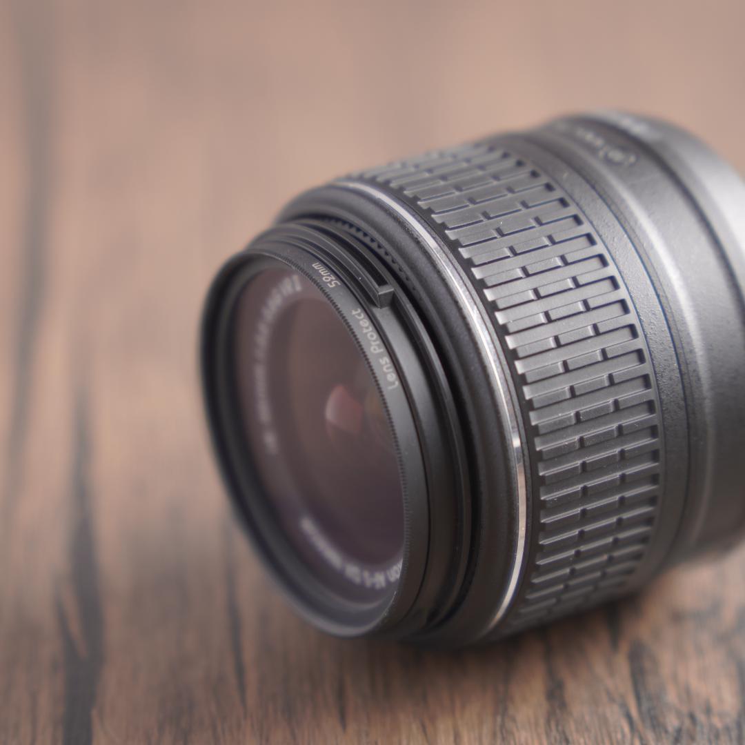 はち　Nikon D5500＋NIKKOR 55-300mm 223-1