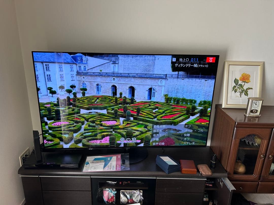 【直接引取りのみ】Panasonic　65型　TV TH-65JZ1000