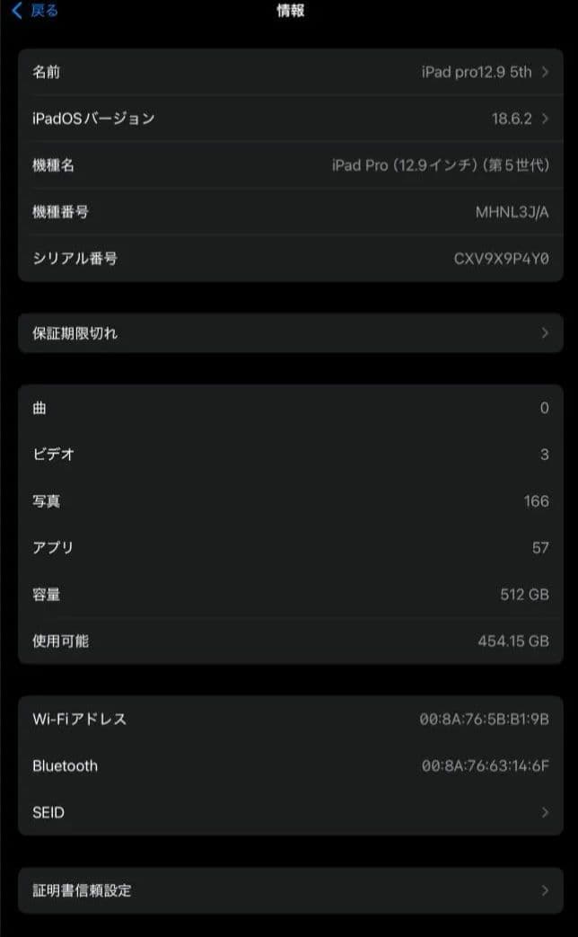 Thriller　iPad　pro本体のみ
