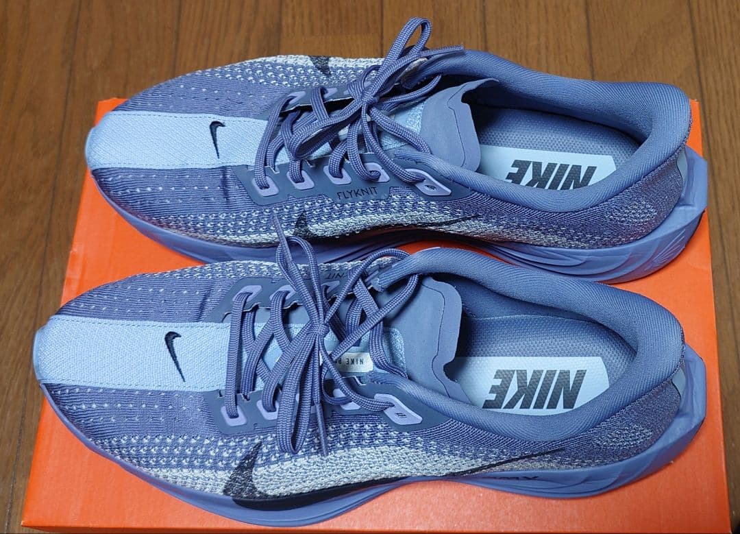NIKE ランニングシューズ 　ペガサスプラス　28.5センチ