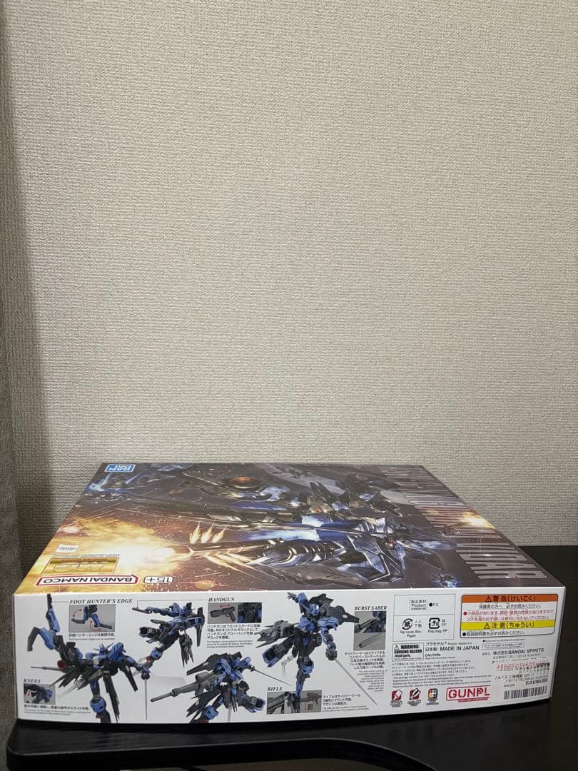 MG 1/100 ガンダムヴィダール