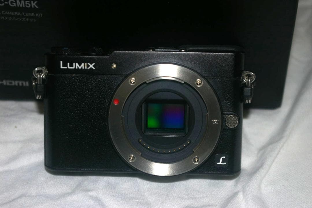 H*。様 レンズ付パナソニック Panasonic GM5 キット　黒 DMC-
