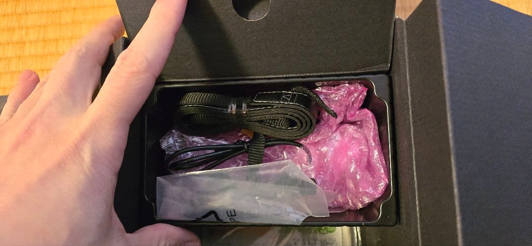 Panasonic LX100 ブラック｜バッテリー2個・充電器2個・ケース付