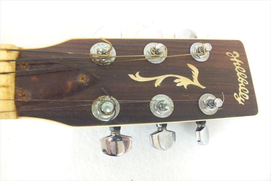 hillbilly Wー４５　貴重なビンテージギター