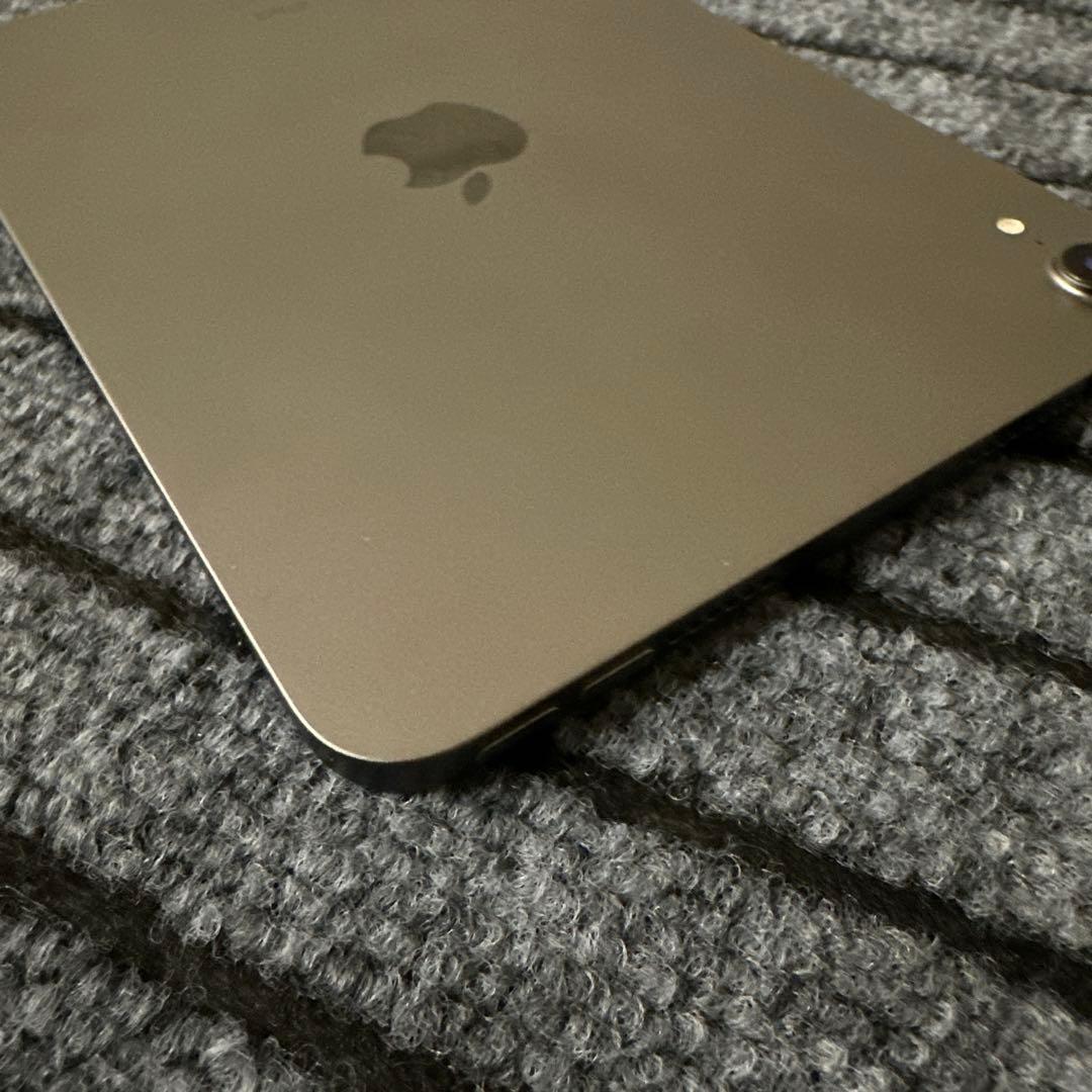 124【早い者勝ち】 iPad mini6 6世代 64GB スペースグレイ