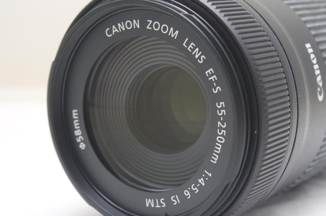 キヤノン EF-S 55-250mm F4-5.6 IS STM 8538