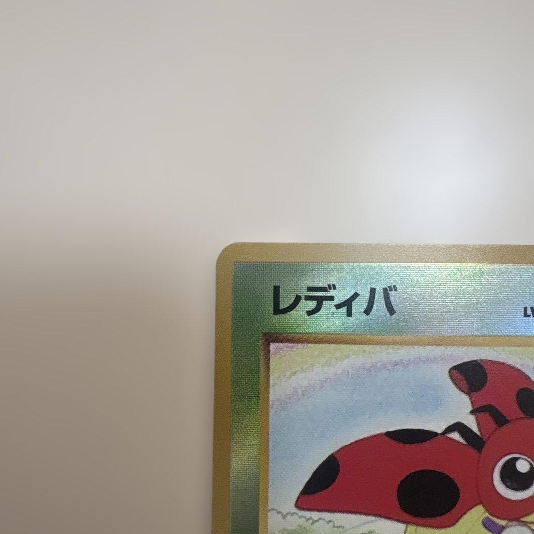 サザンアイランド　お花畑　旧裏ポケモンカード　ポストカードなし