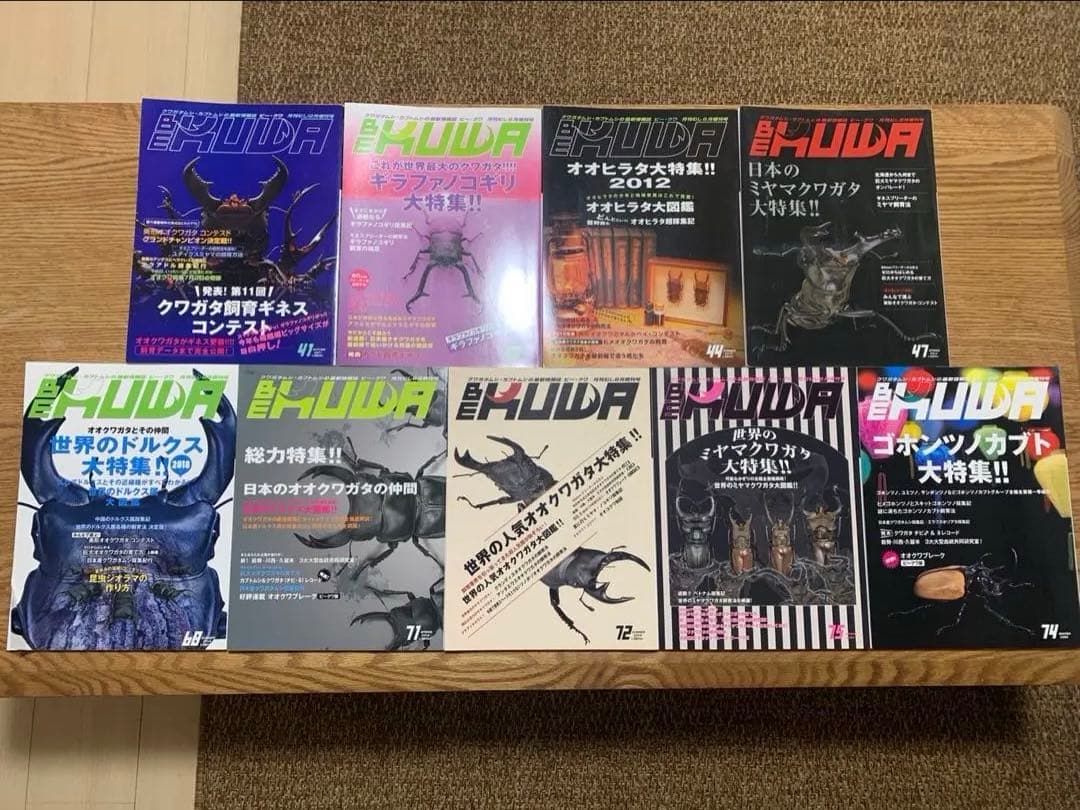 BE KUWAビークワ 25冊、昆虫フィールド2冊セット