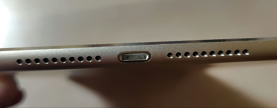 iPadmini 第4世代 Wi-Fi + Cellular au版 ケース付