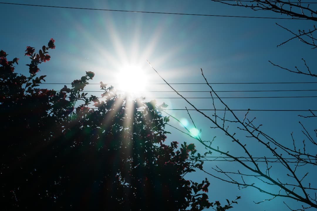 【運動会・スポーツに】SONY 望遠ズームレンズ SEL55210 145