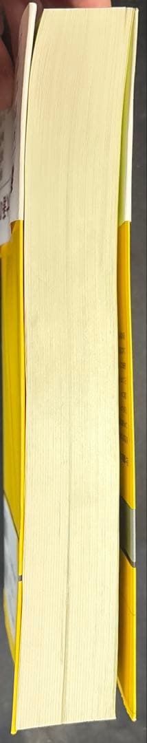 巨大基数の集合論