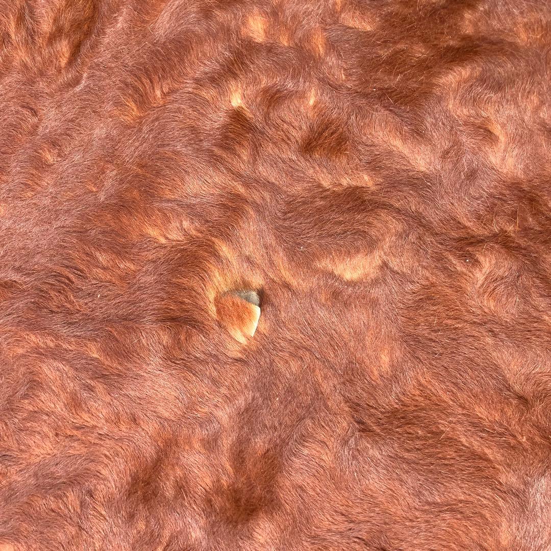 ヴィンテージ 大型 カウラグ 牛毛皮 敷物 絨毯 ラグマット アンティーク古道具