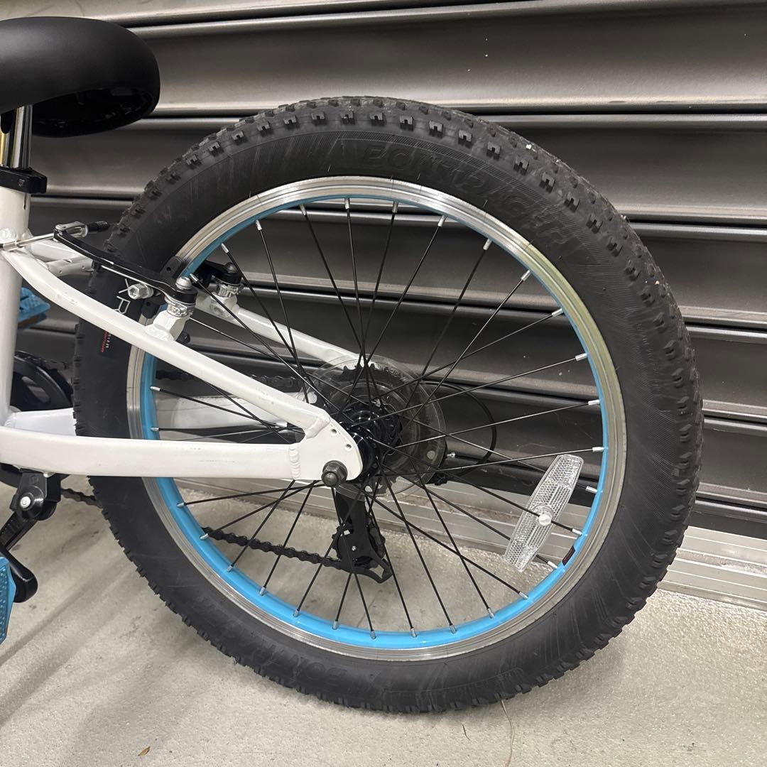 トレック　『PRECALIBER 20』　ホワイト/ミズイロ