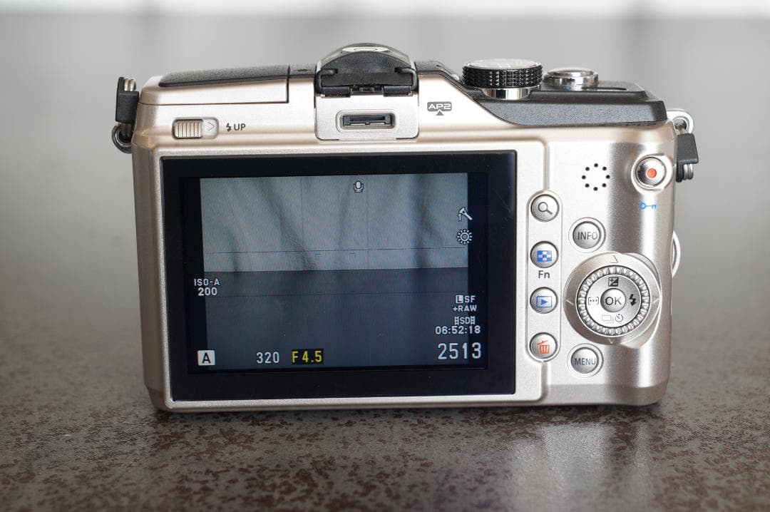 【ショット数少】OLYMPUS PEN E-PL2 ダブルズームキット