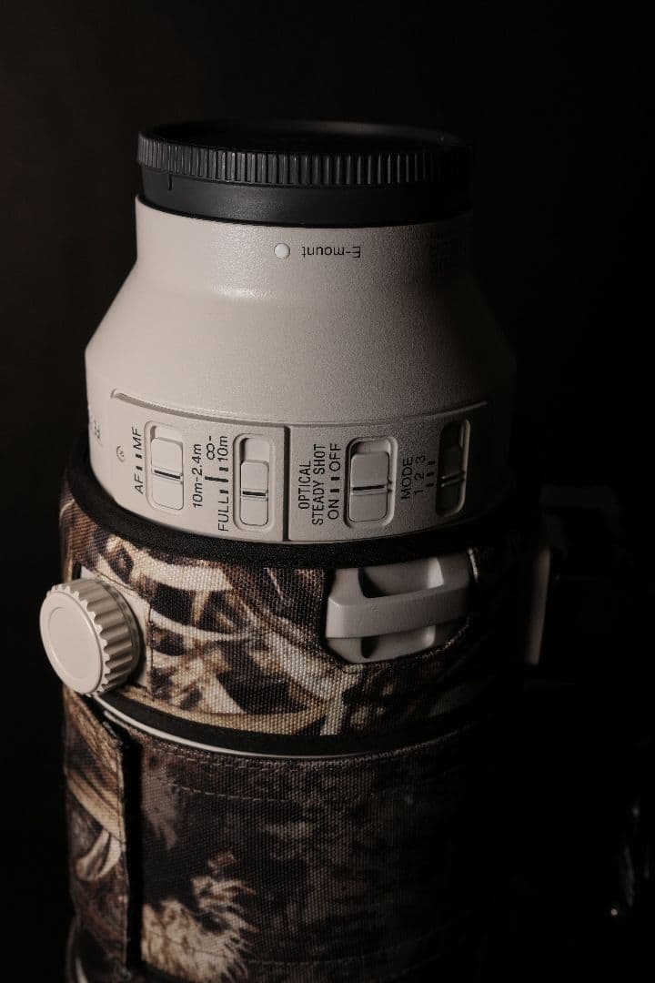 Sony FE 200-600mm F5.6-6.3 G OSS ズームレンズ