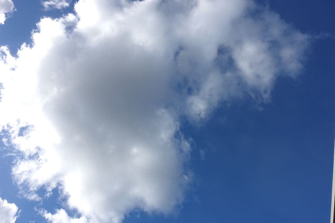 【美品】SONY DSC-RX100M3 グリップ・追加バッテリー・充電器付き