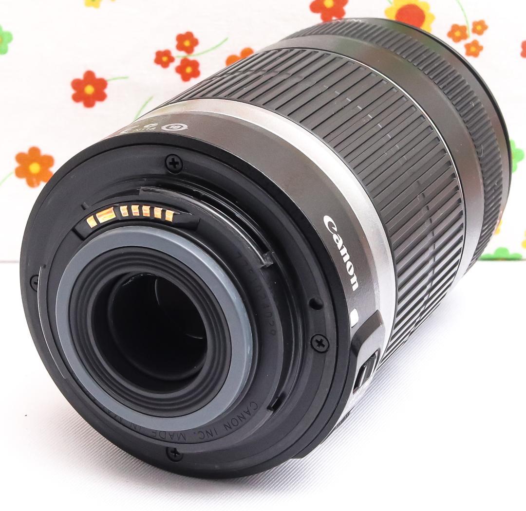 キャノン Canon EF-S 55-250mm IS☆お手軽望遠レンズ♪