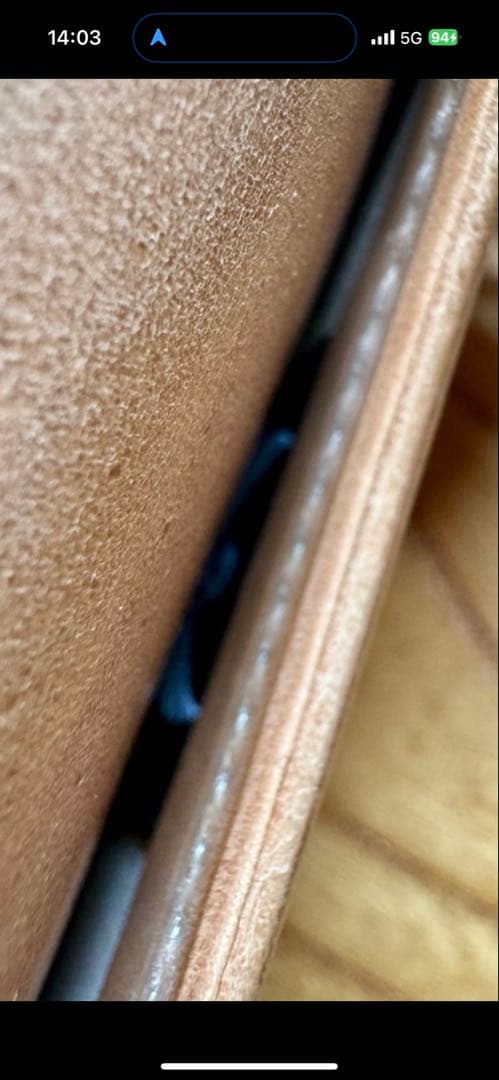 WILDSWANS ワイルドスワンズ　タング　旧ロゴ