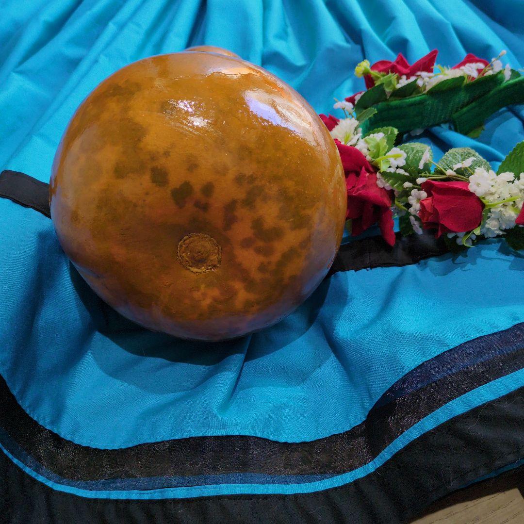 フラダンス用　楽器　イプ　Mサイズ