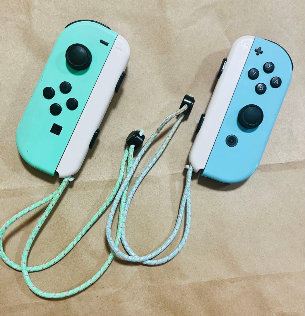 Nintendo Switch あつまれどうぶつの森ver. ⭐︎ケース付き⭐︎