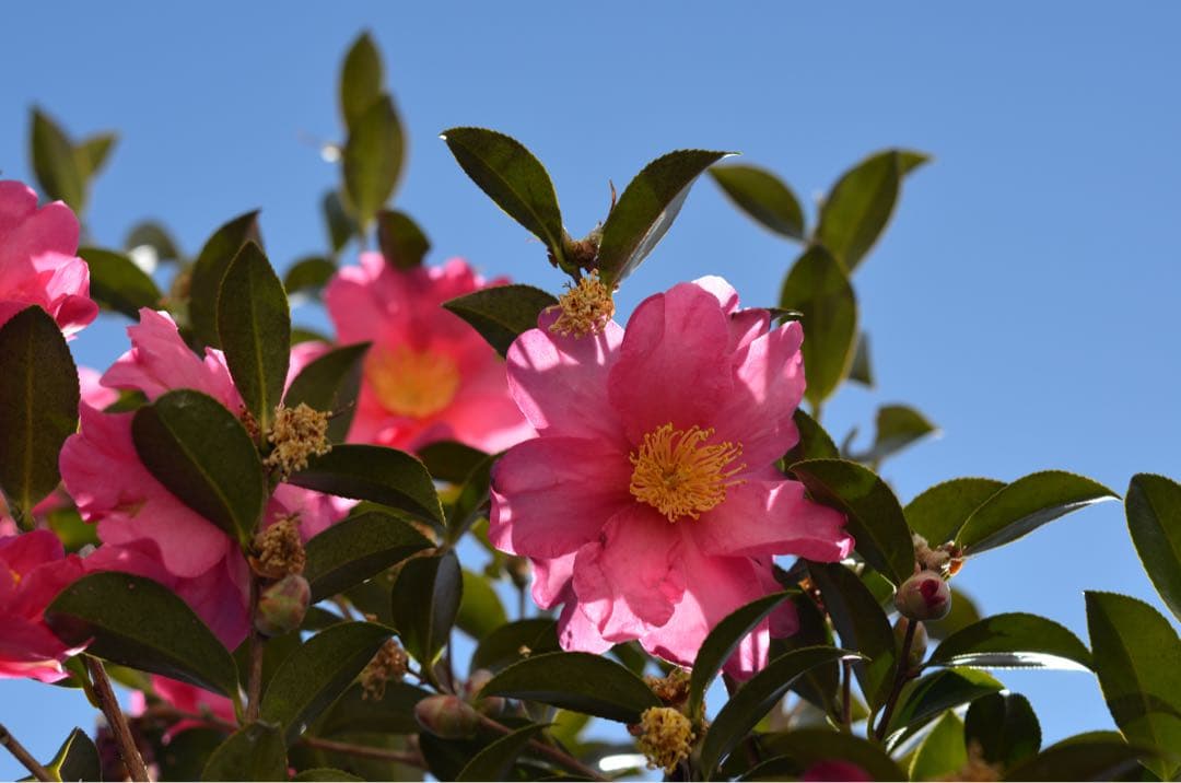 m.k.iさん専用『訳あり美品』Nikon D5100 デジタル一眼レフカメラ