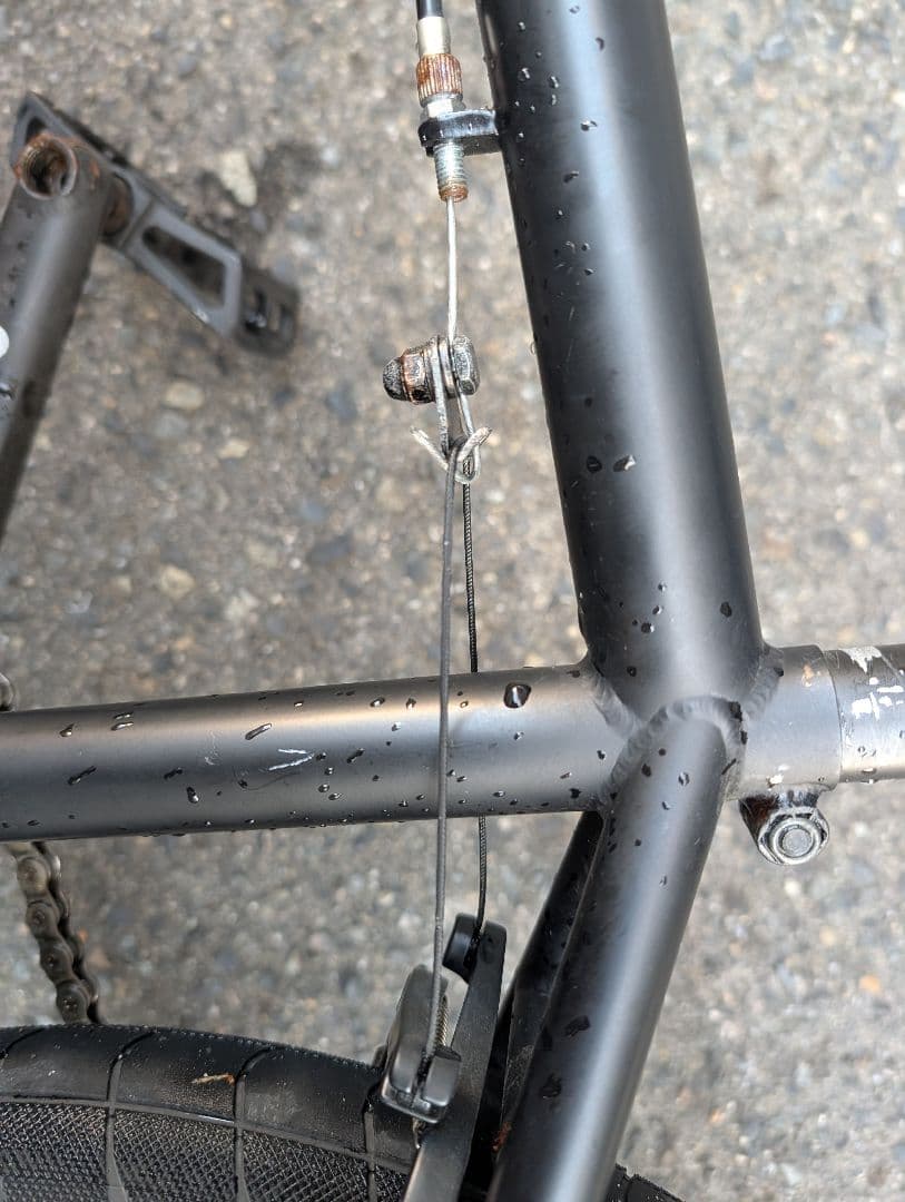 自転車本体 Flybikes BMX Electron