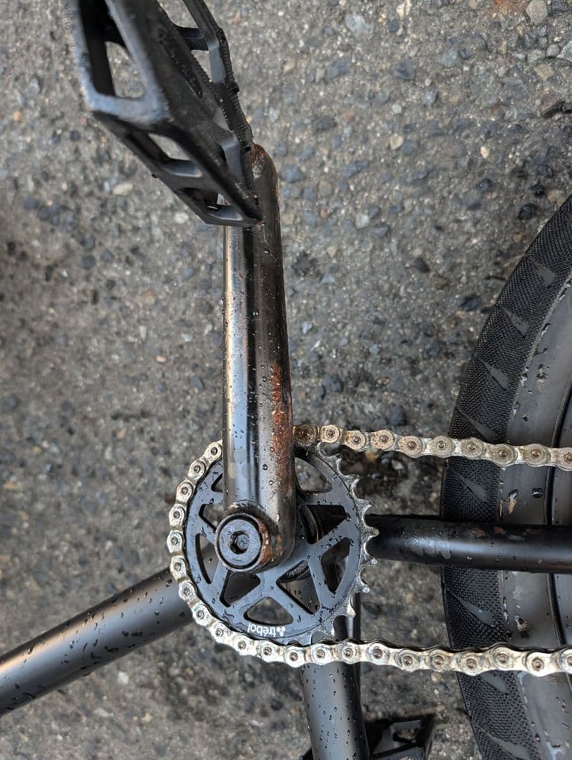 自転車本体 Flybikes BMX Electron