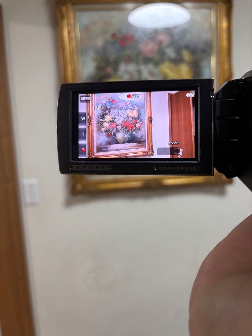 【ハンディカメラ】SONY HDR-PJ590V