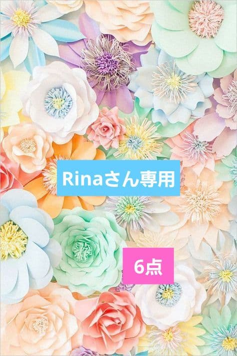 【Rinaさん専用】6点