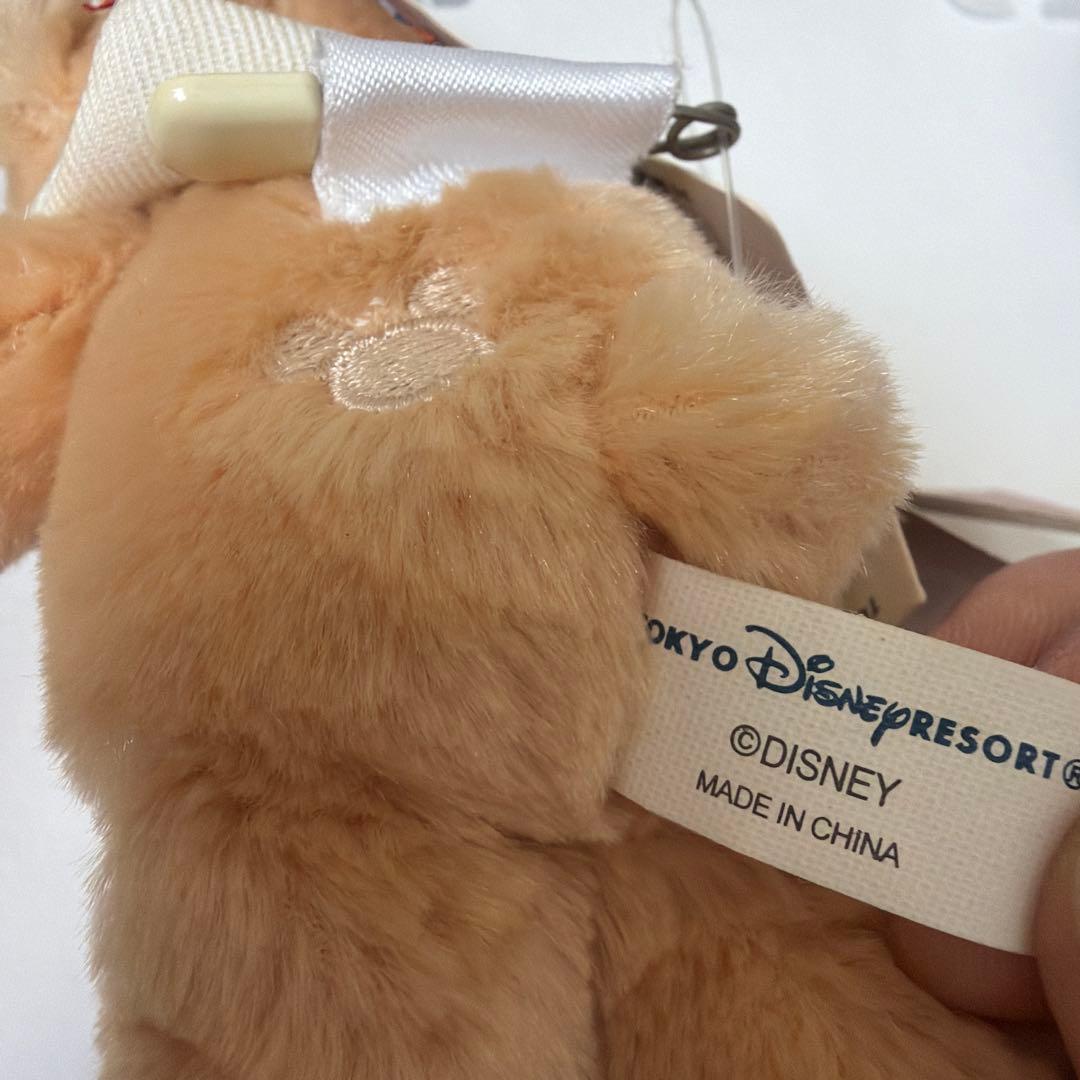 貴重品ジャンボリーナイトストラップ　ディズニーベア　東京ディズニーシー