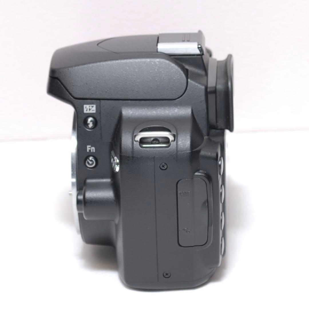 望遠レンズデビュー✨Nikon D60✨ ダブルレンズ✨スマホ転送✨少シャッター